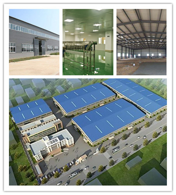 粉條廠-廠房建設(shè) 粉條廠-廠房建設(shè)