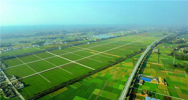 紅薯產(chǎn)業(yè)鏈條 紅薯產(chǎn)業(yè)鏈條