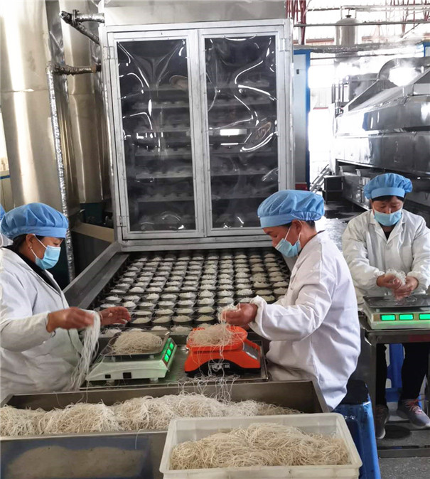 紅薯粉條機 紅薯粉條機