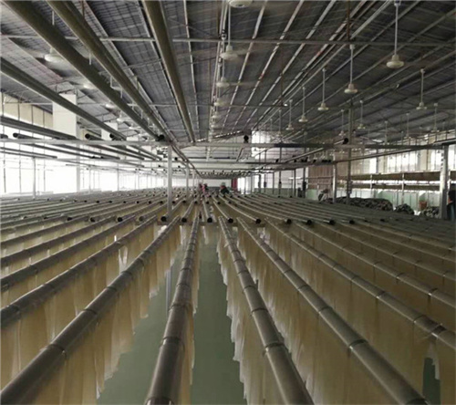 想入手全自動(dòng)紅薯粉條機(jī)設(shè)備卻預(yù)算有限？可以試試種工藝的粉條機(jī)